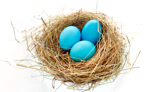 Nest Png Transparent Image - Nest Png (500x320)
