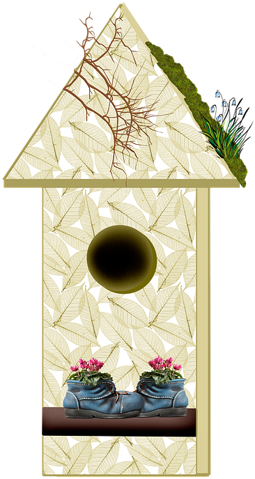 Bird House Pics 20, Buy Clip Art - Bird (566x720)