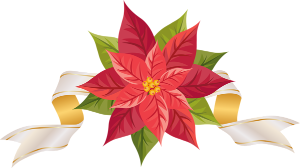 Poinsettia Clipart Transparent - Poinsettia Clip Art Free (600x337)