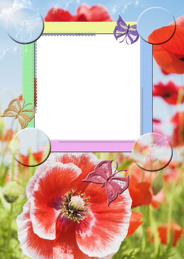 Publicat De Eu Ciresica La - Picture Frame (617x870)