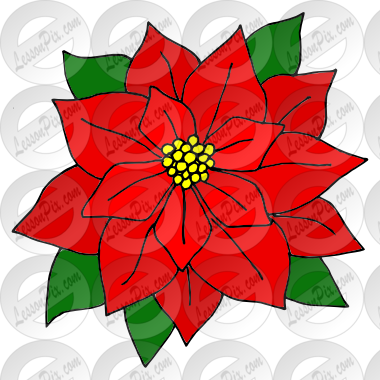 Poinsettia Picture - Poinsettia (380x380)