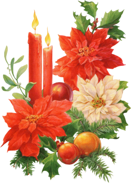 Poinsettia Clipart Christmas Decor - Candele E Stelle Di Natale (436x608)
