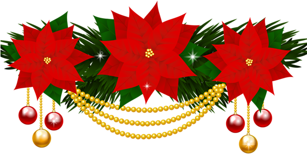 Poinsettias Decoration Png Clipart Image - Poinsettia Clip Art (600x321)