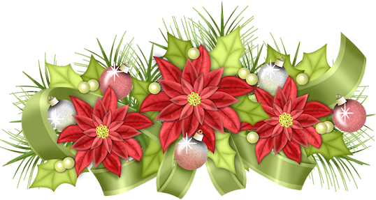 Clip Art - Poinsettia (538x287)
