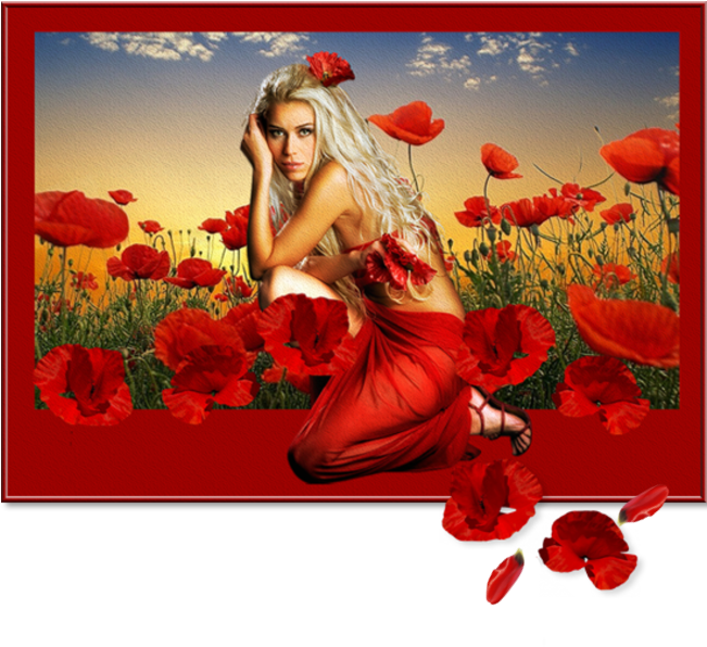 Poppies And Women - Corn Poppy (650x612)