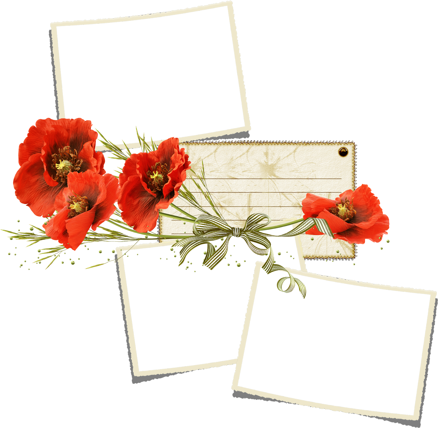 Poppy Flower Clip Art - Poppy Flower Clip Art (1555x1600)