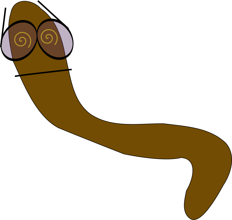 Worm 1 1 Wall Paper Background 555px - Roundworm Clip Art (800x758)