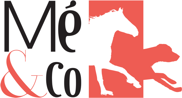 Marketing Équestre & Co - Stallion (700x431)