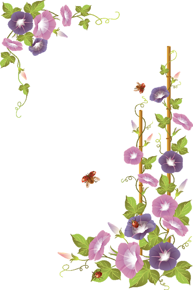 Flores Png - Margenes De Flores Para Caratulas (385x576)