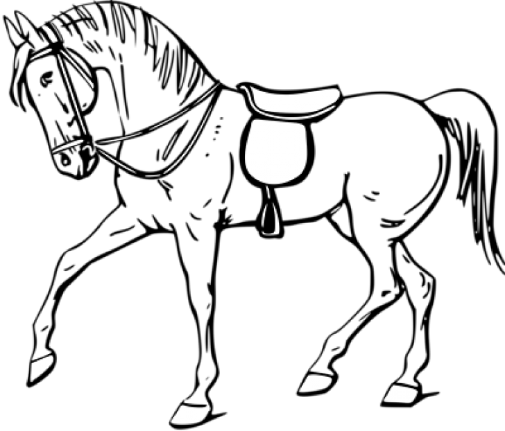 Permalink To Horse Clipart Black And White Volleyball - Outline Of A Horse (728x622)