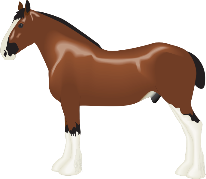 Medium Image - Clydesdale Horse Clipart (866x750)