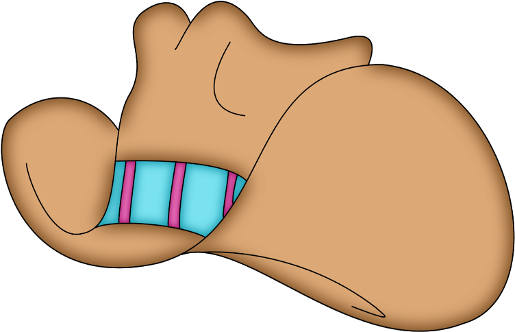 Cowboy Western, Cowboy Hats, Cowgirl Party, Happy Trails, - Sombrero De Vaquera Png (800x533)