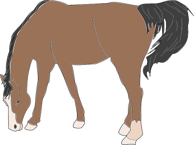 Granja, Caballo, De Tierra, Comer, Animales, Mamíferos - Horse Eating Clip Art (640x479)