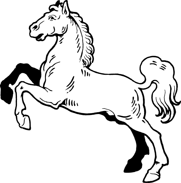 Horse Clipart Black And White - Custom Stallion Shower Curtain (588x597)