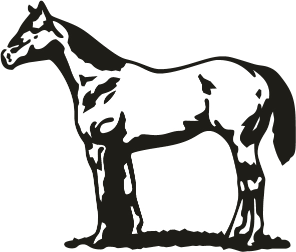 Horse - Foal (696x696)
