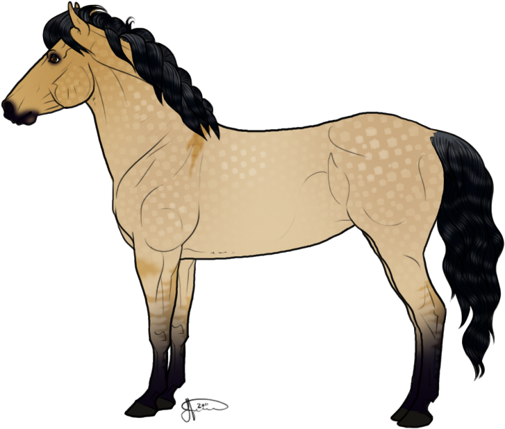 Of Horse Drawings Free Download Free Clip - New Forest Pony Drawing (770x656)