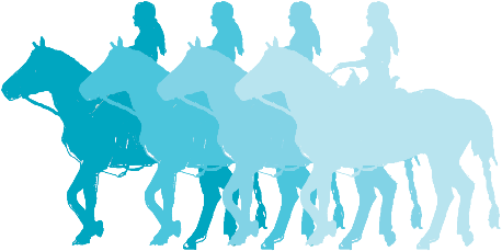 Mile Hi Barrel Horse Association - Stallion (496x281)