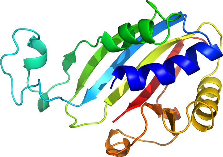 Organism Line Clip Art - Organism Line Clip Art (711x500)