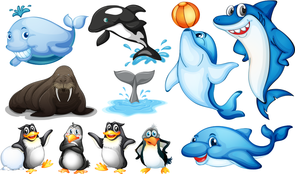 Aquatic Animal Sea Illustration - Aquatic Animal Sea Illustration (1000x1000)