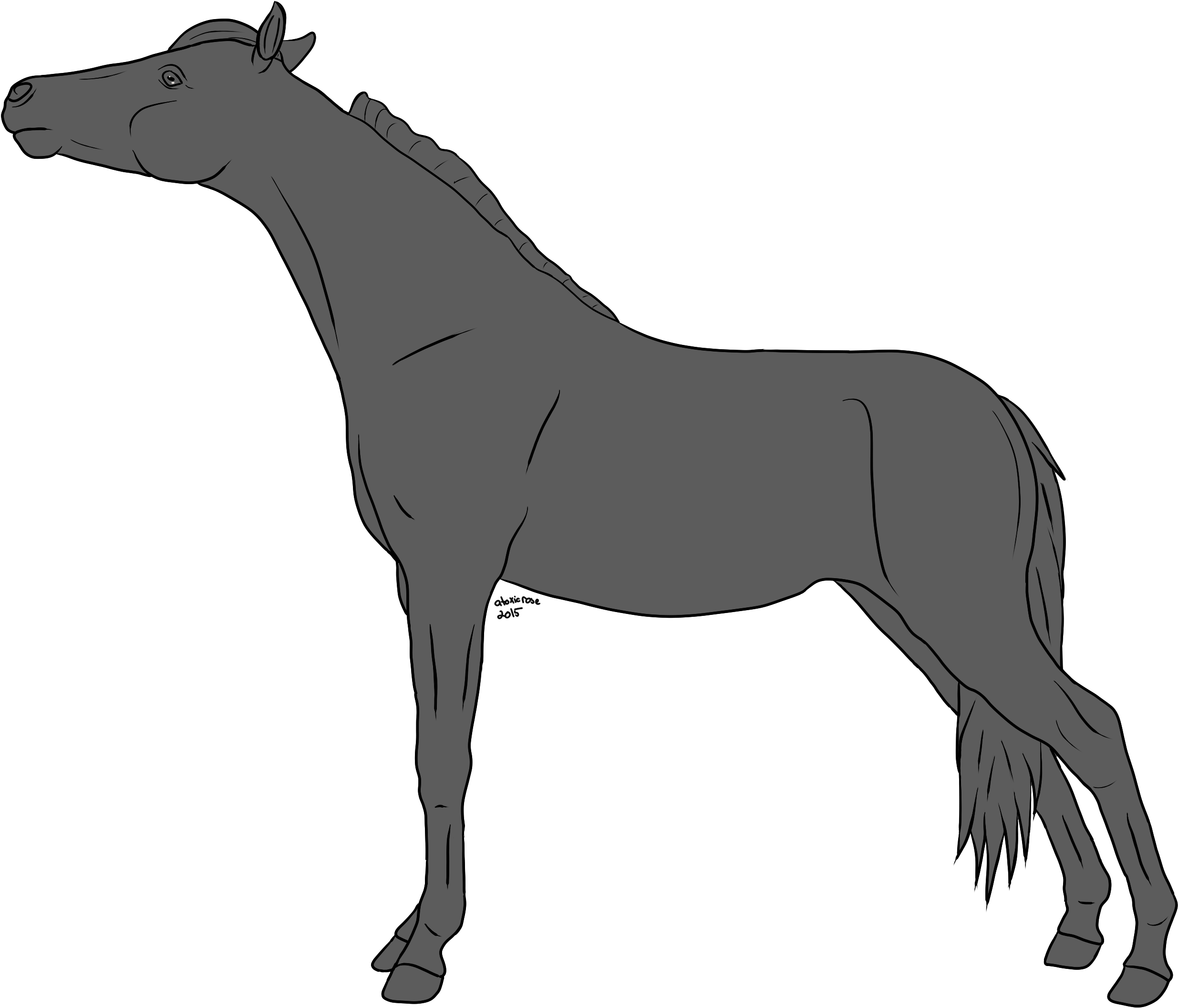 Horse Lineart Greyscale On Equinelineart Deviantart - Horse (2788x2364)