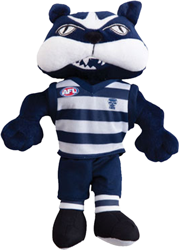 Youth Football Player Png Download - Geelong Football Club (1000x1000)