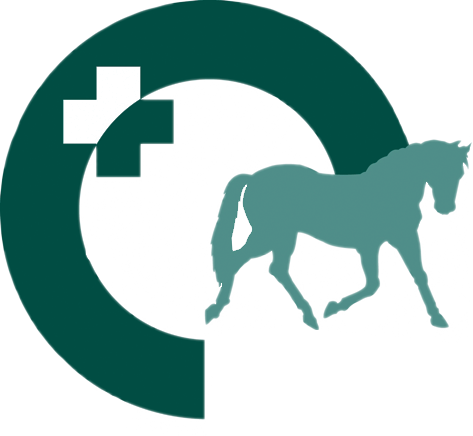Performance Horse Consultancy - Equine Veterinarian Logo (473x436)