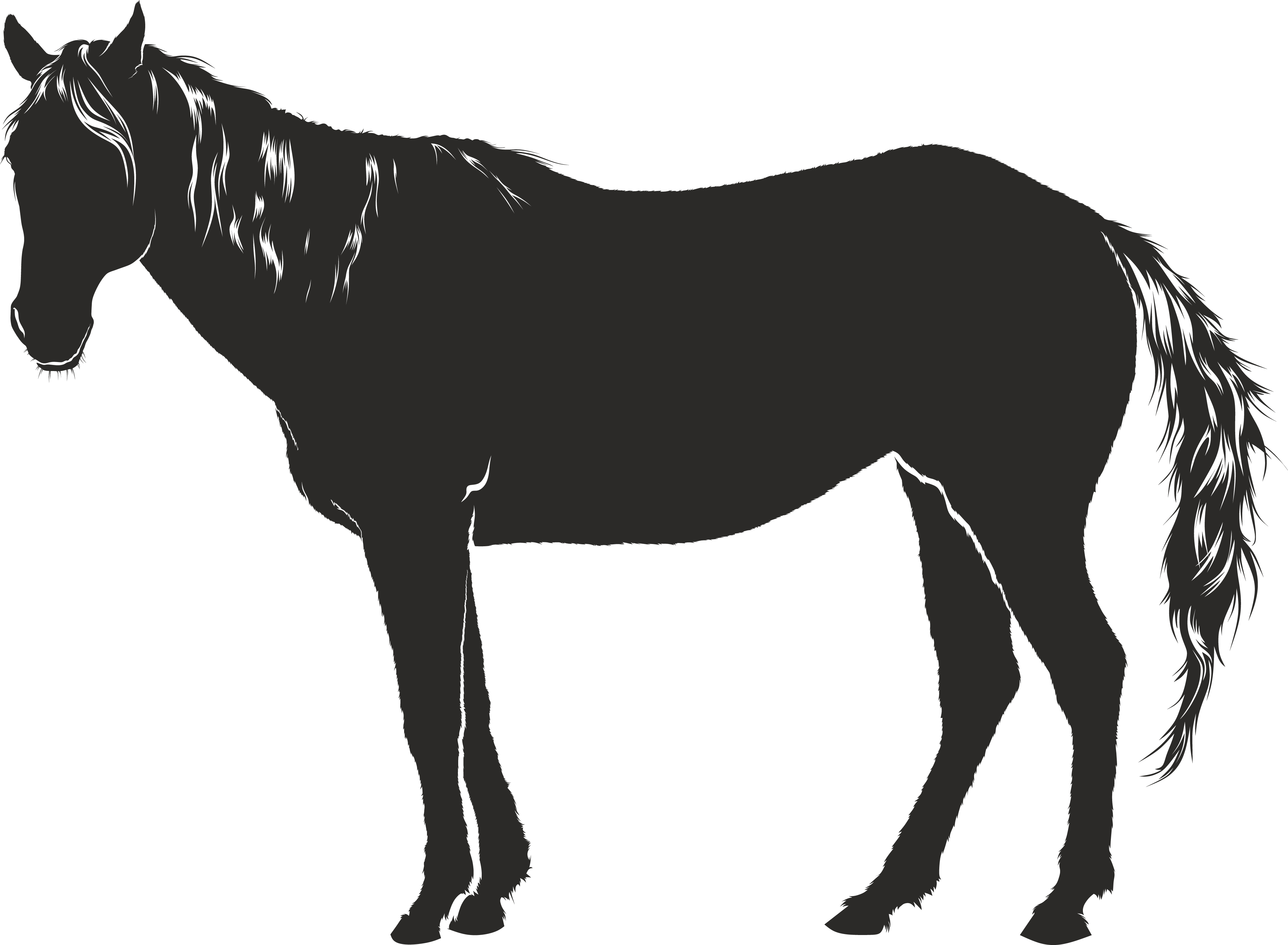 Free Clipart Of A Horse - Pferd Schatten (4000x2934)