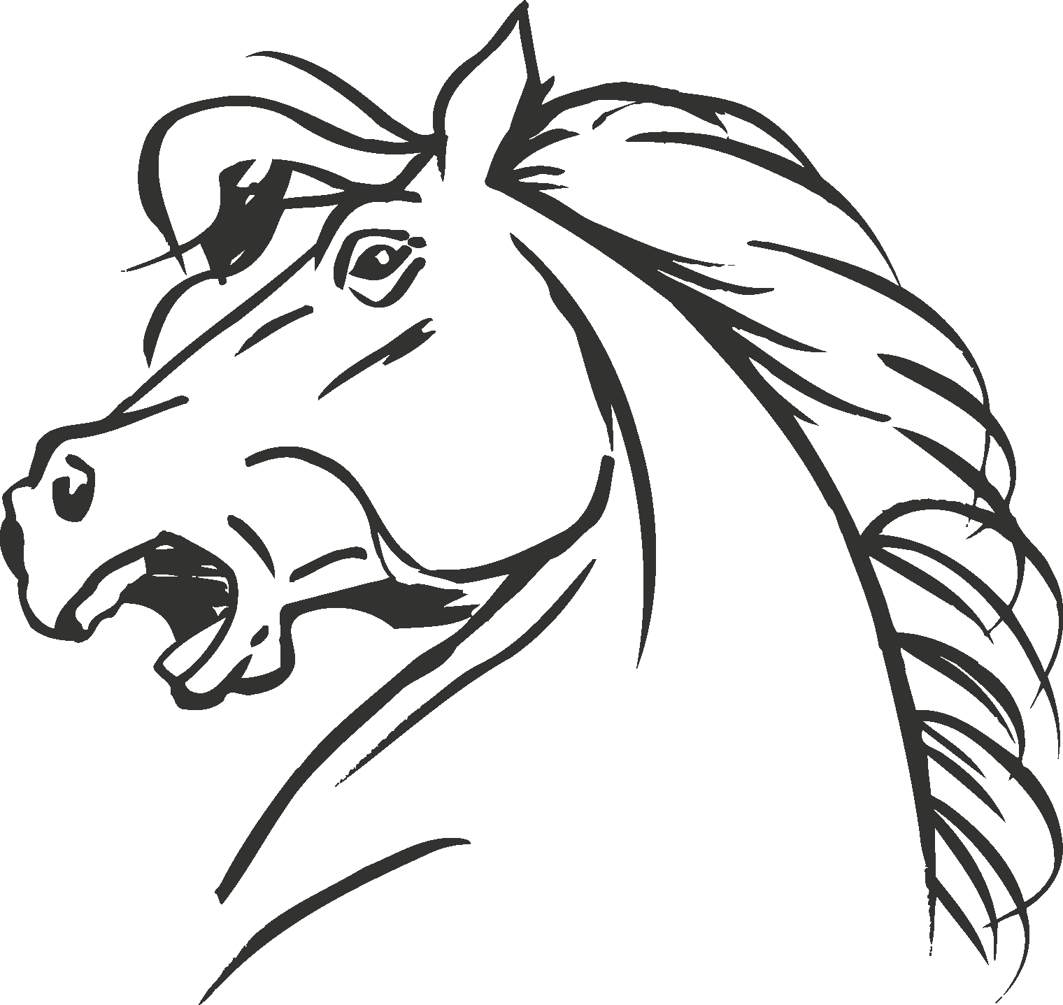 12 Horse Head Black And White Vectors [eps File] - Wall Decal (1520x1438)