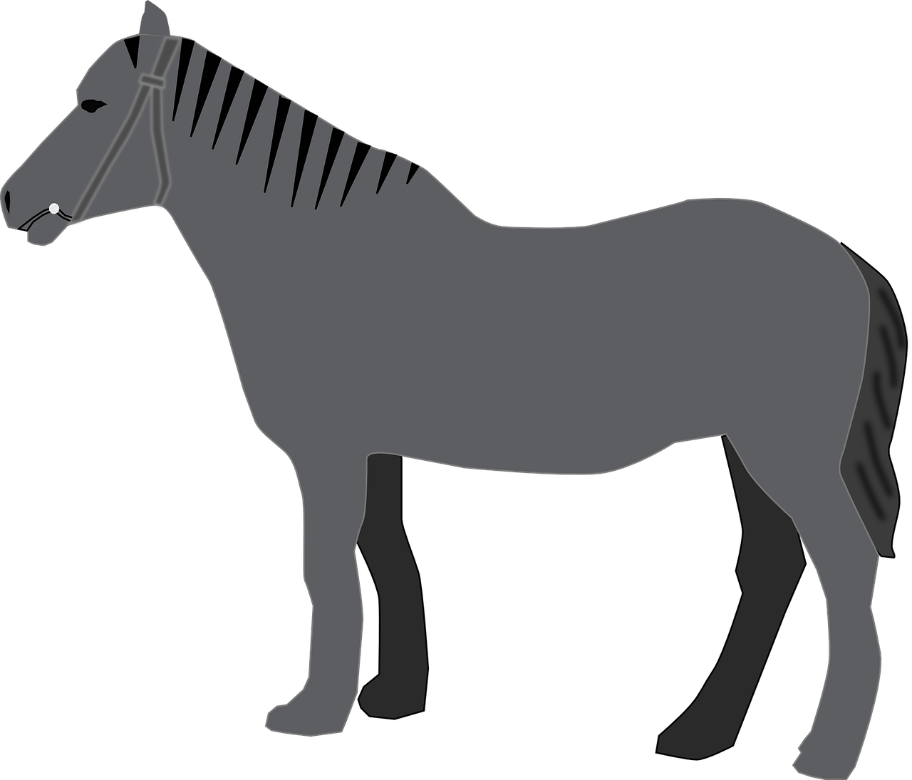 Horse Grey Animal Mammal Transparent Image - Custom Grey Horse Shower Curtain (1280x1095)