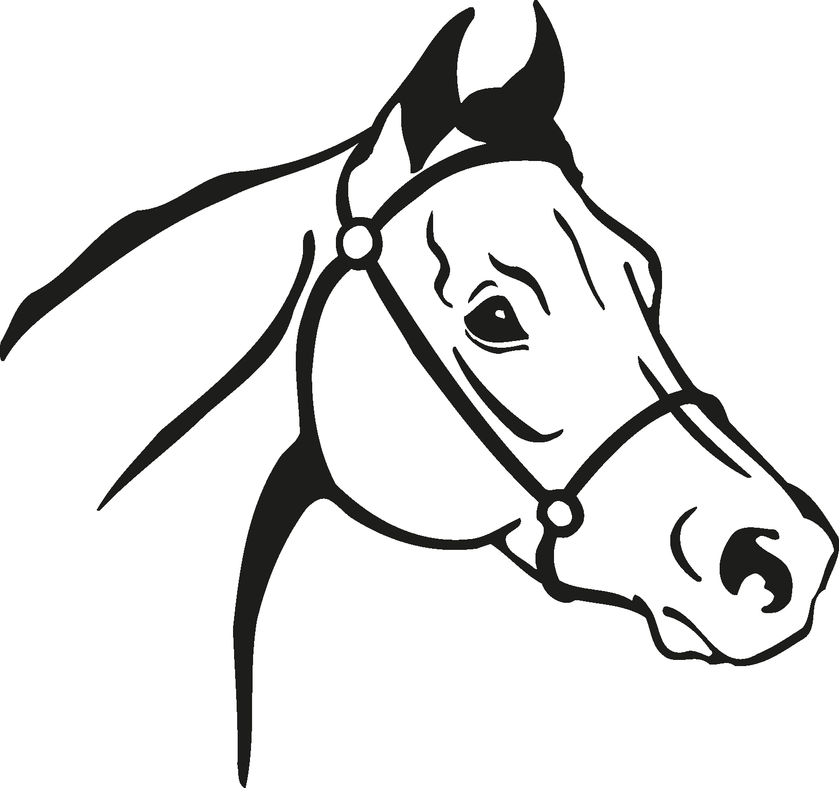 12 Horse Head Black And White Vectors [eps File] - Horse Vector (1631x1532)