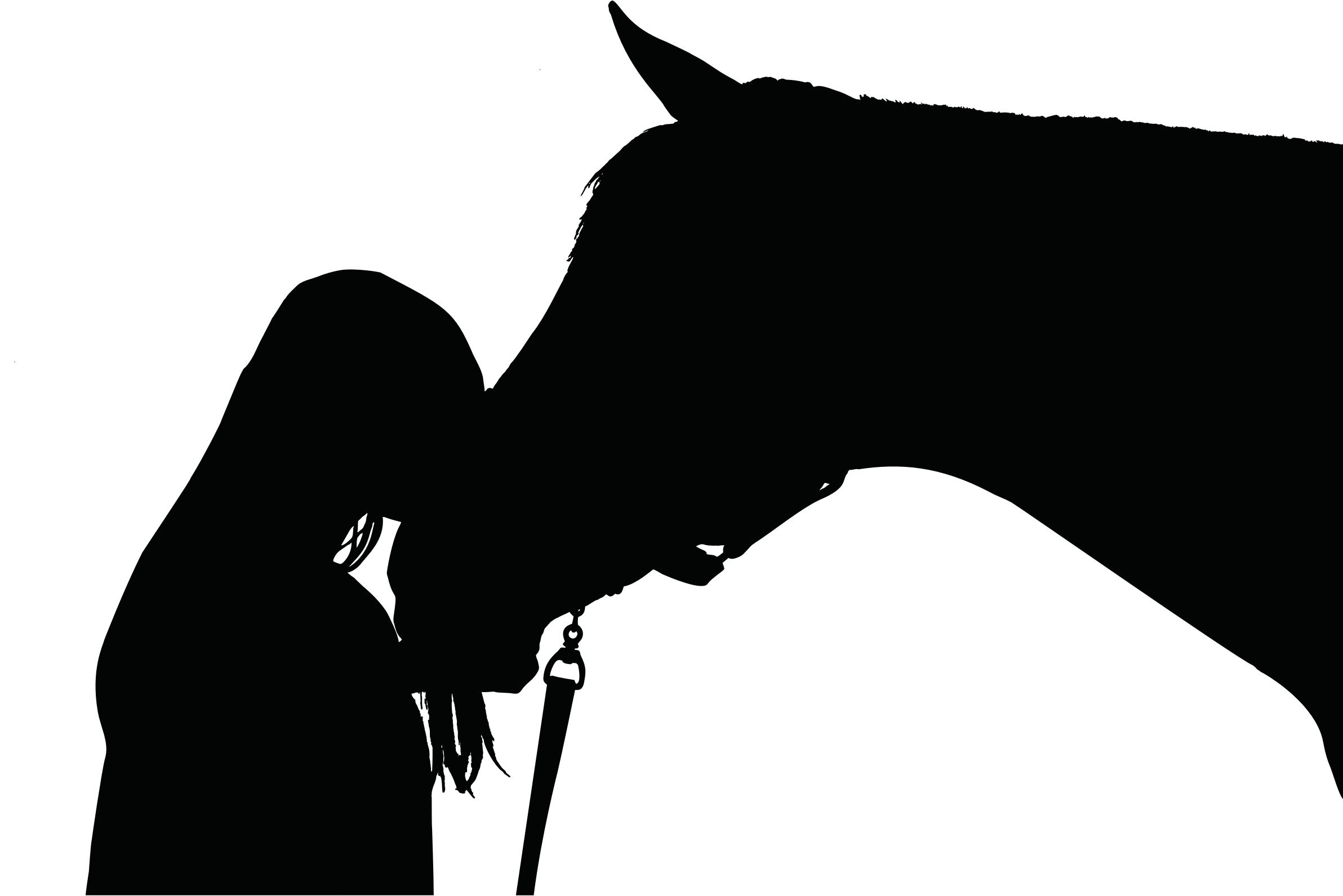 And Horse Silhouette - Horse Lovers - Women's Tee (2384x1591)