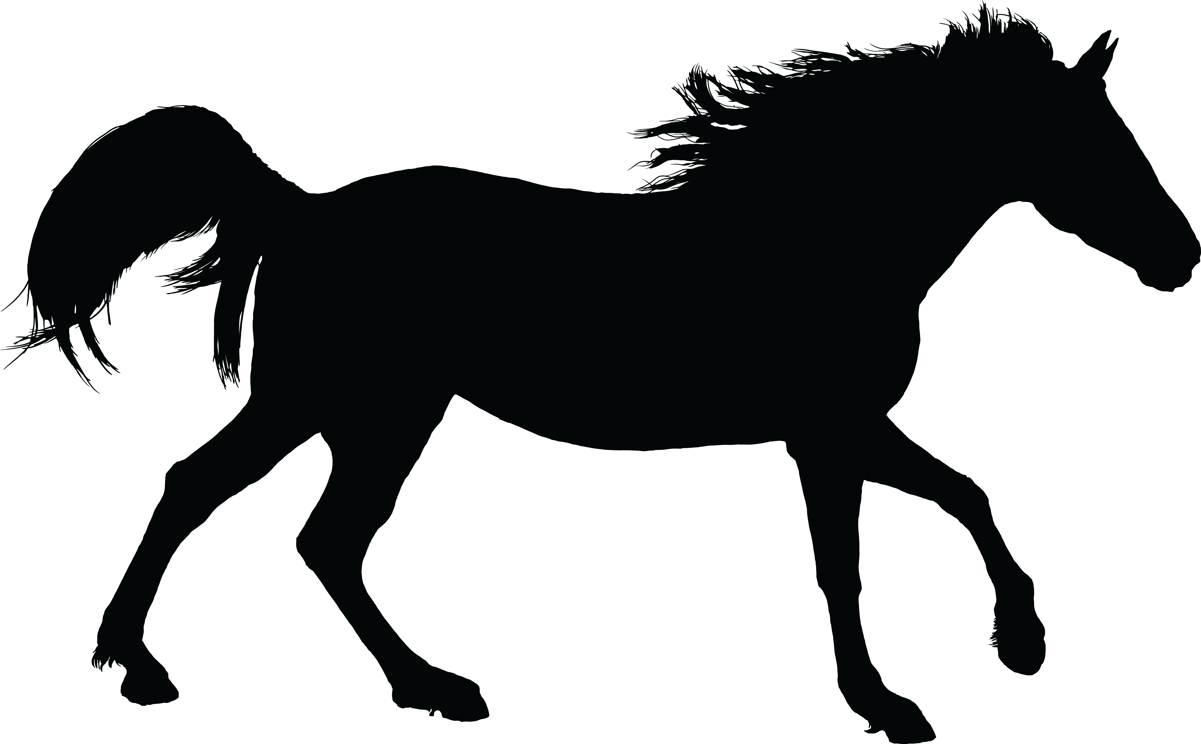 Medium Image - Horse Silhouette .png (1211x750)