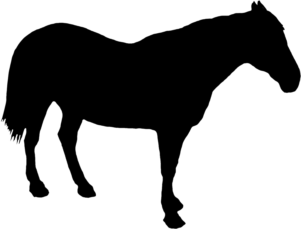 Horse Standing Silhouette, Horse Rider Silhouette Clipart - Horse Silhouette Standing (1063x827)