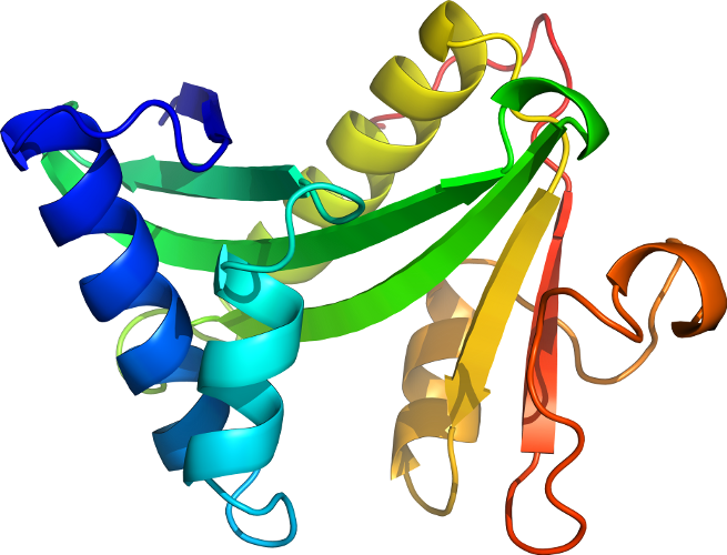 Line Organism Clip Art - Line Organism Clip Art (655x500)