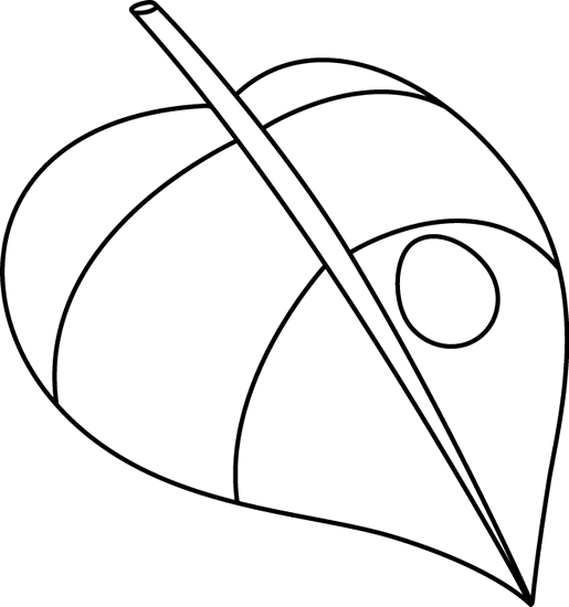 Black And White Butterfly Egg On A Leaf - Butterfly Egg Black And White (515x550)