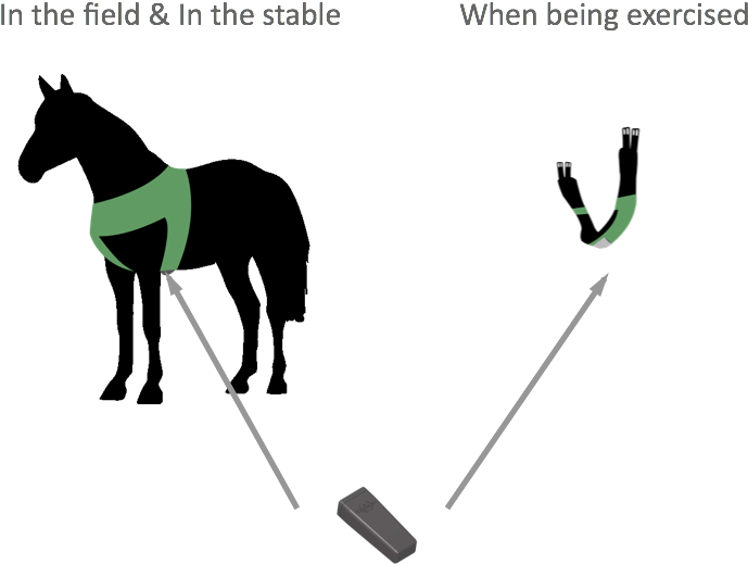 Howitworks - Animal Welfare Society Of Sa The (726x590)