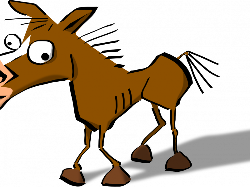 Clip Art Horse - Clip Art Horse (800x600)