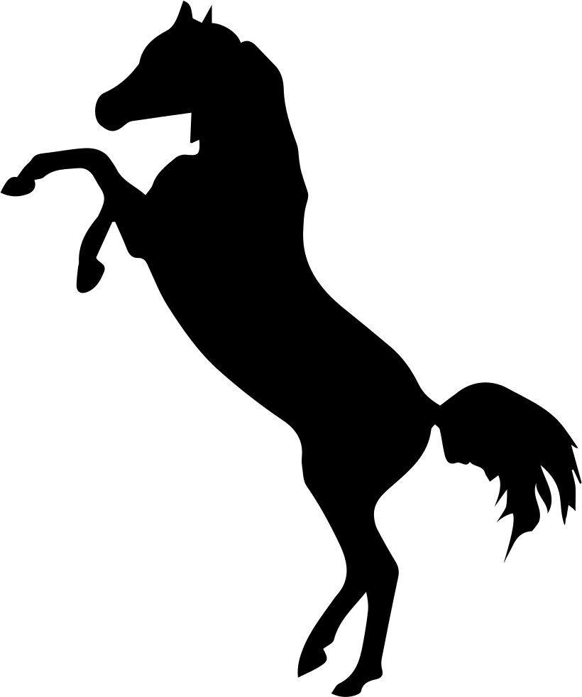 Horse Standing On Two Back Paws Black Side View Silhouette - Caballo Parado En Dos Patas (820x981)