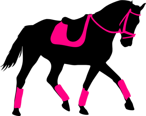 Make This Amazing Design-dressage, Dressage Rider, - Dressage (470x375)