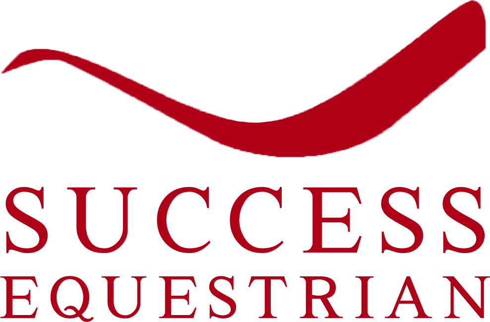 Welcome To Success Equestrian - Steve Harvey Act Like A Success (988x649)