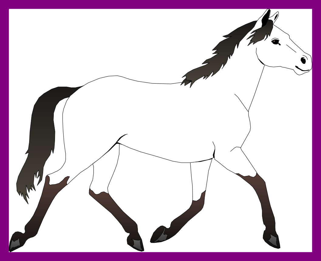 Incredible Black And White Horse Clipart Best Picture - Mustang Horse Coloring Pages (1057x859)