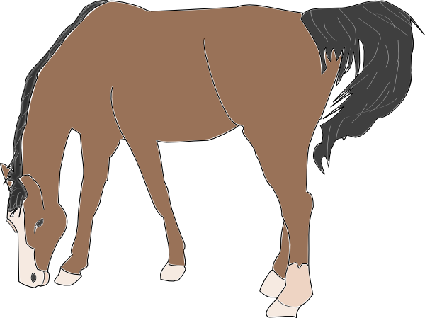 Horse Eating Clip Art (600x449)