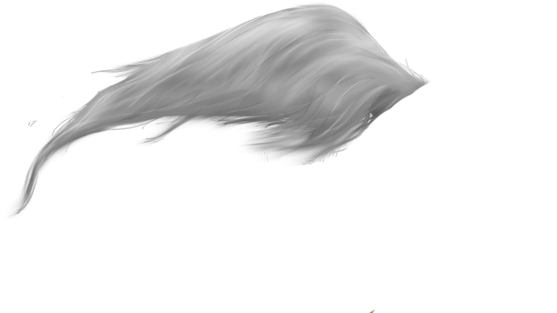 Horse Tail Feather Clip Art - Horse Tail Feather Clip Art (900x573)