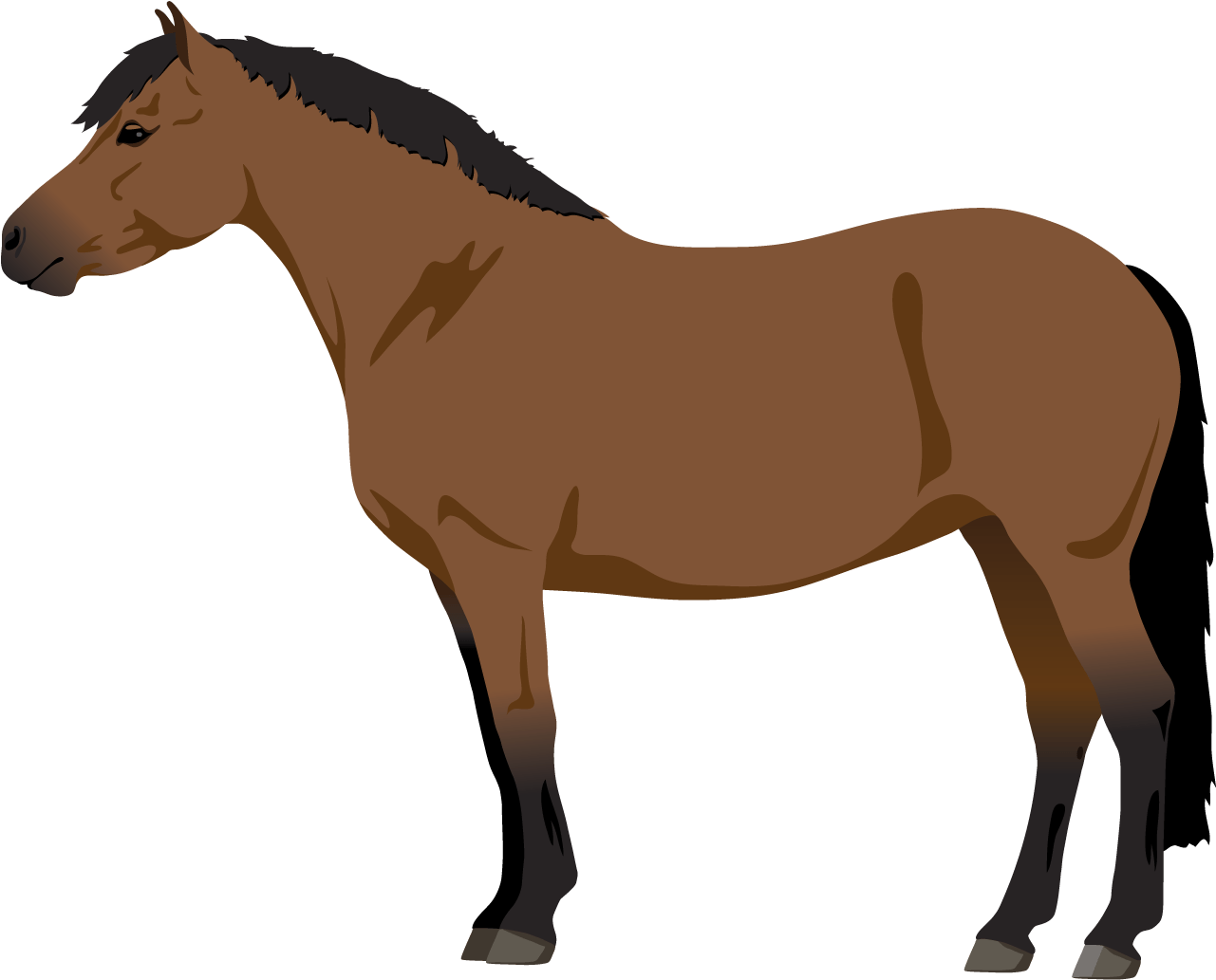 More Like 5 Point Horse Adopt - Horse (1800x1400)