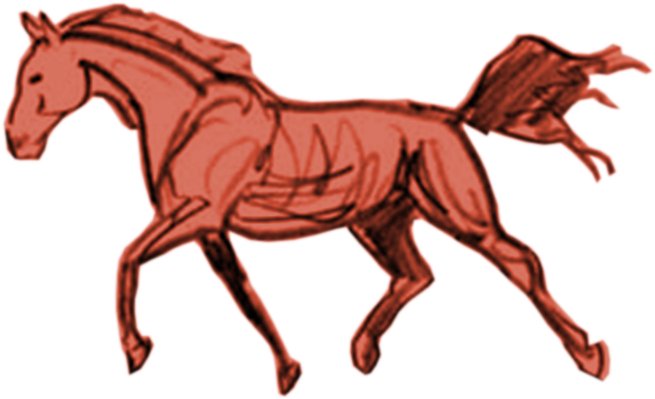 Equine Bodywork For Performance Enhancement - Farm (747x549)