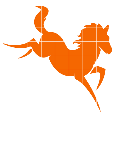 Horse Bucking-bb21 - Horse (376x500)