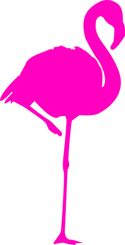 ¿porque Contratar Un Fotógrafo Profesional - Black And White Flamingo Clip Art (255x500)