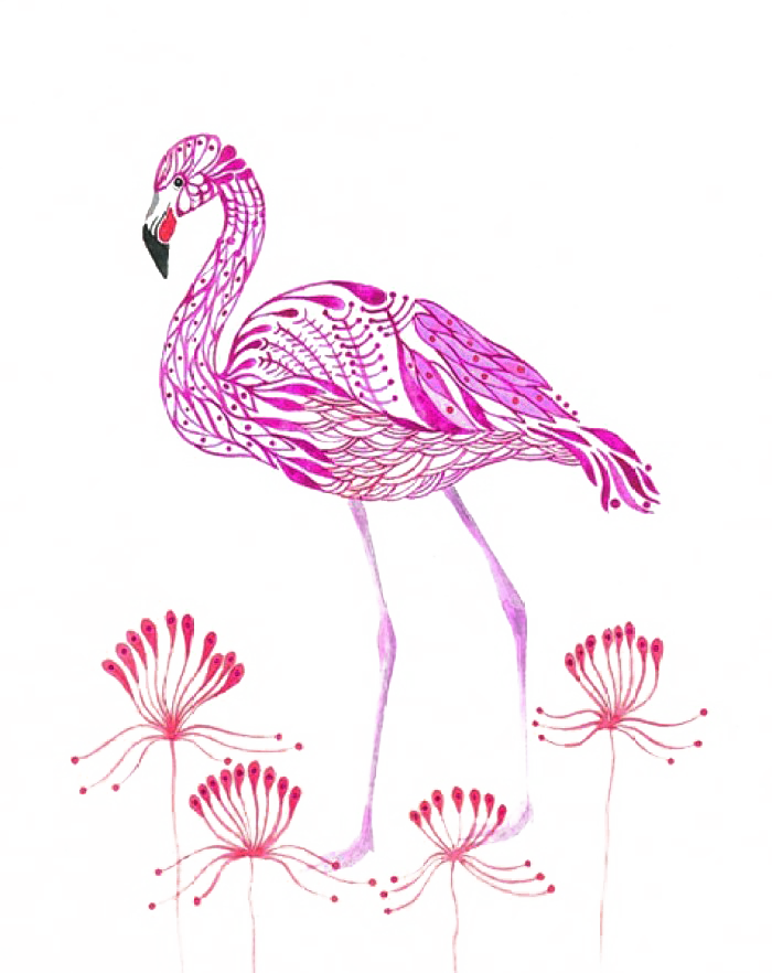 Flamingos Olya, Russia Bird Watercolor Painting Illustration - Flamingos Olya, Russia Bird Watercolor Painting Illustration (700x882)