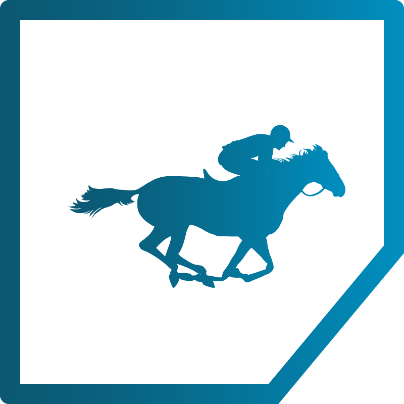 Race Days - Run For The Roses (800x800)