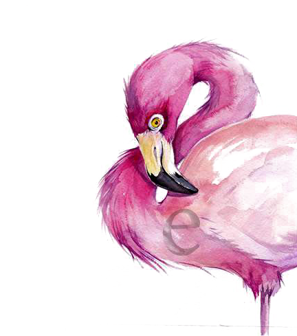 Watercolor Painting Flamingo Drawing - Watercolor Painting Flamingo Drawing (510x510)
